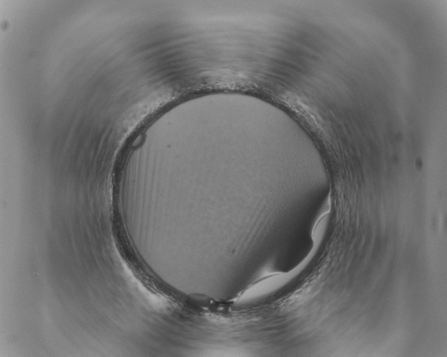 X0000088390630200706121211