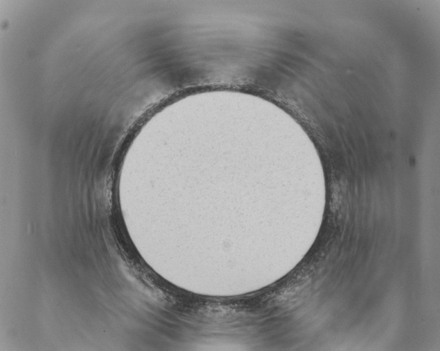 X0000088390632200706121211