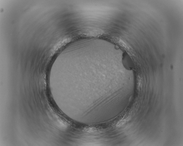 X0000088390634200706121211