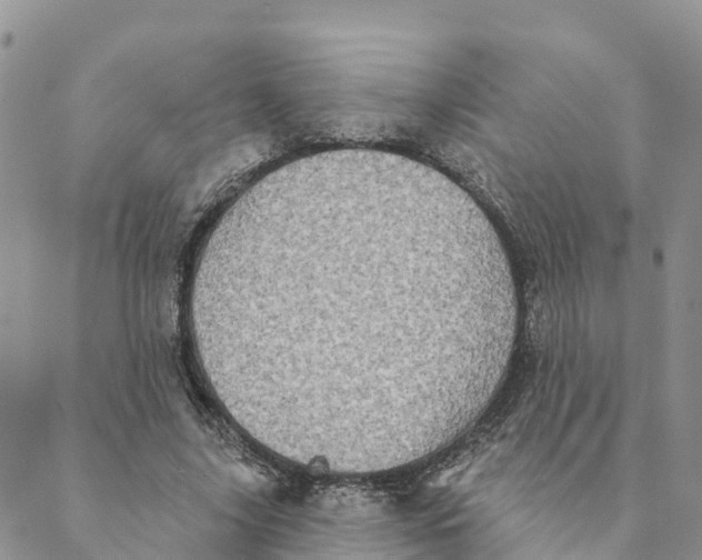 X0000088390635200706121211