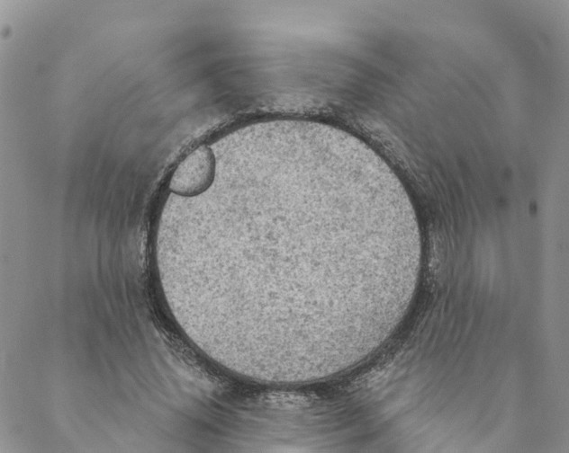 X0000088390636200706121211