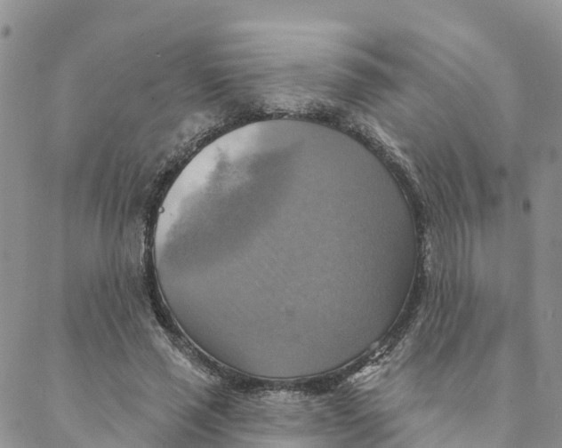 X0000088390637200706121211