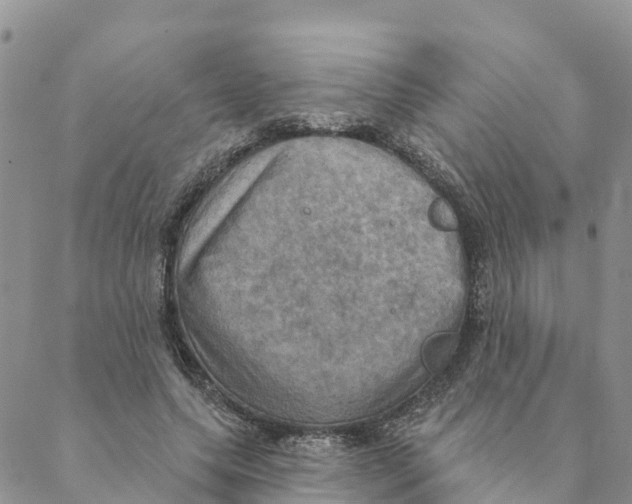 X0000088390639200706121211