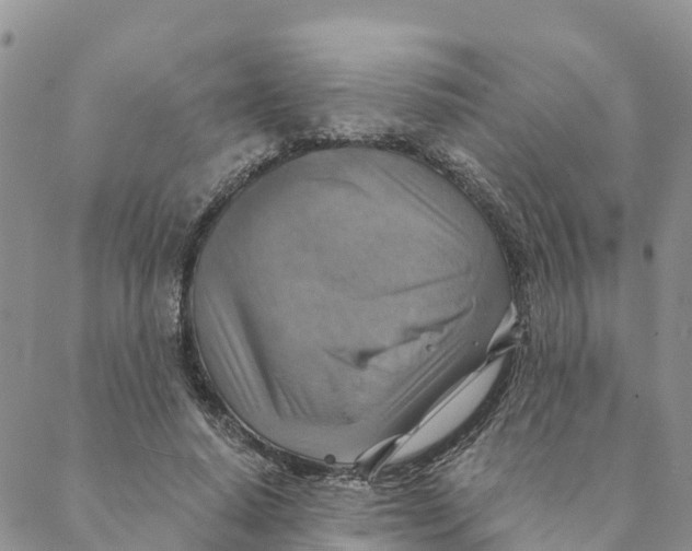 X0000088390640200706121211