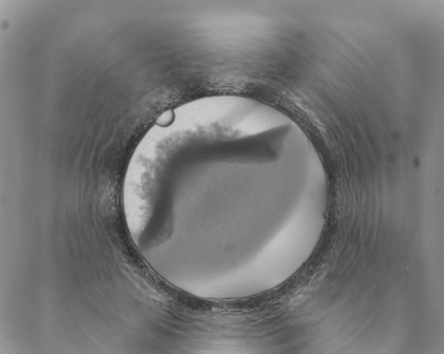 X0000088390641200706121211