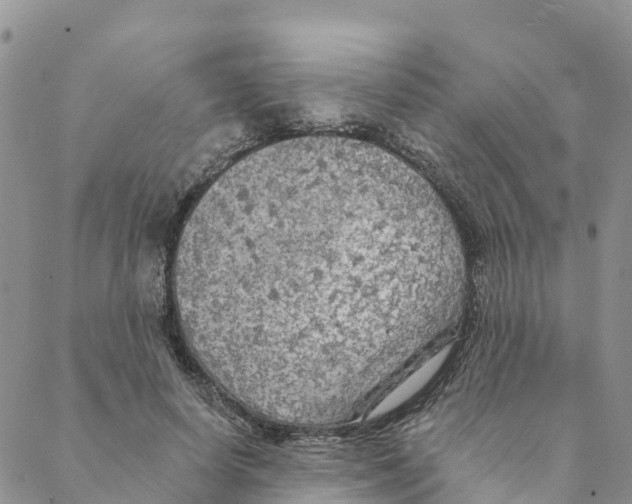 X0000088390642200706121211