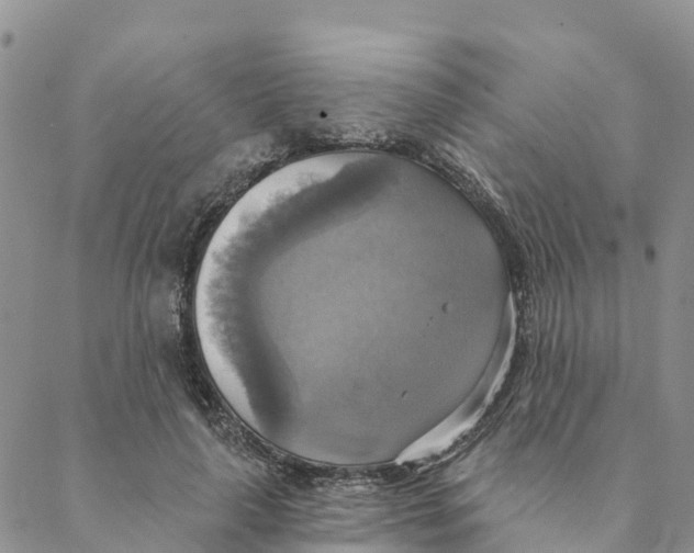 X0000088390643200706121211