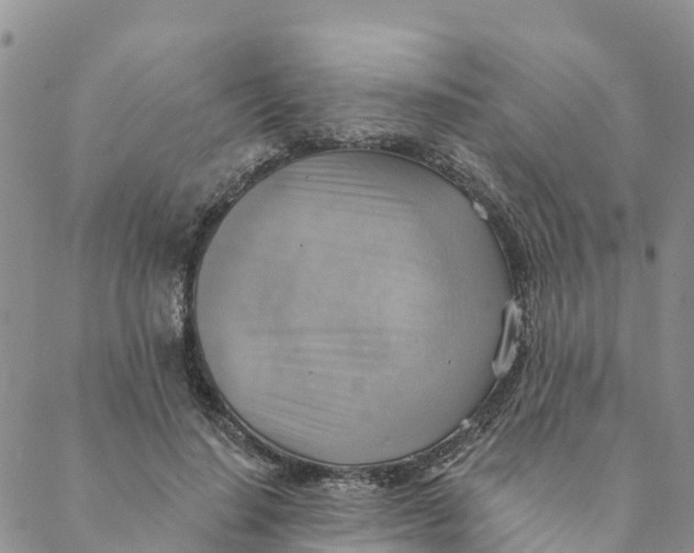 X0000088390644200706121211