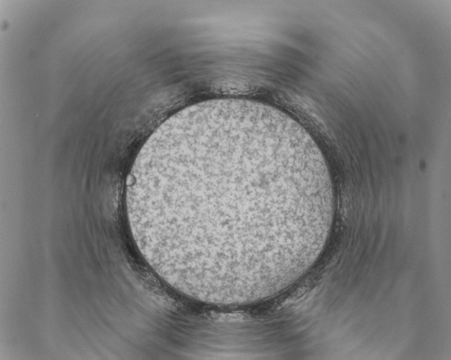 X0000088390645200706121211