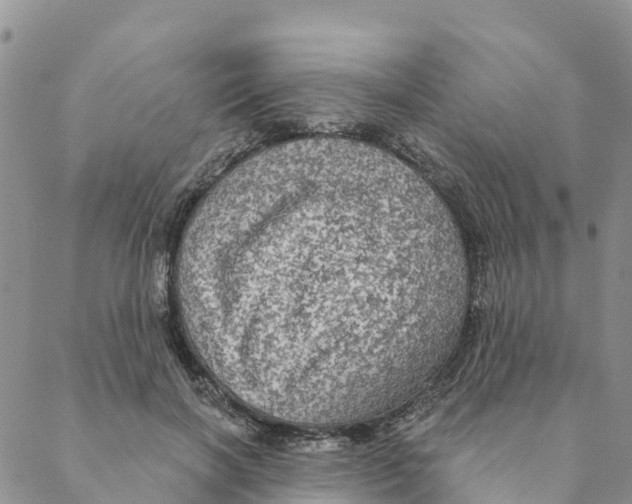 X0000088390646200706121211