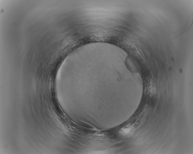 X0000088390647200706121211