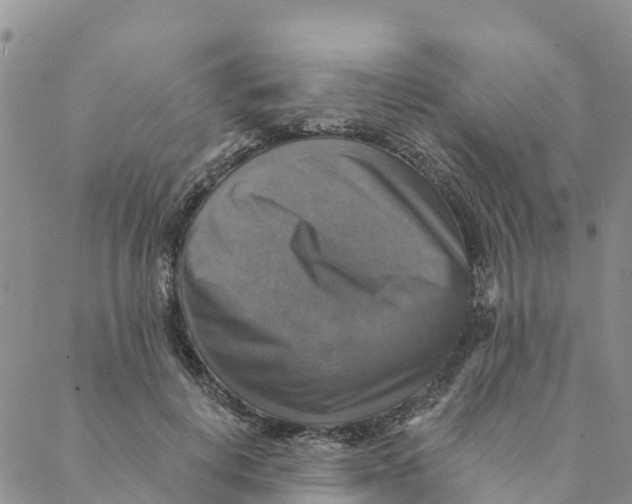 X0000088390648200706121211