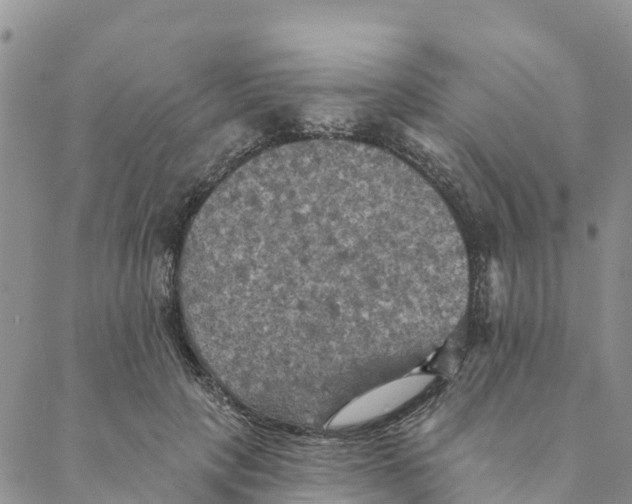 X0000088390649200706121211