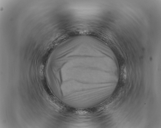 X0000088390650200706121211