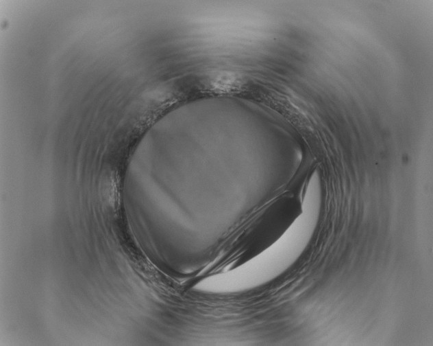 X0000088390651200706121211