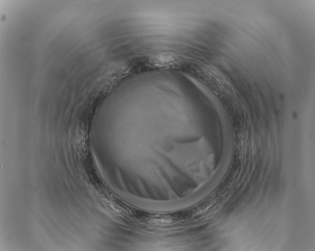 X0000088390653200706121211