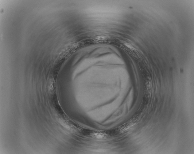 X0000088390654200706121211