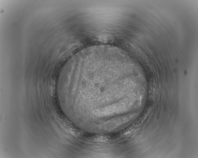 X0000088390656200706121211