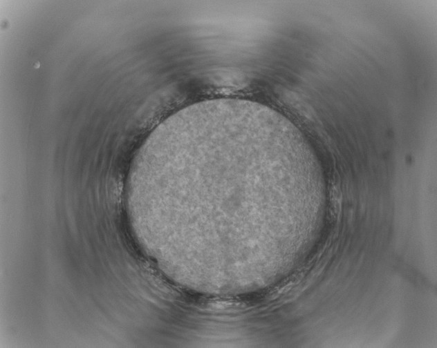 X0000088390657200706121211