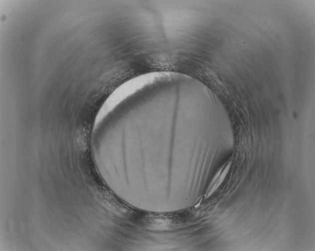 X0000088390658200706121211