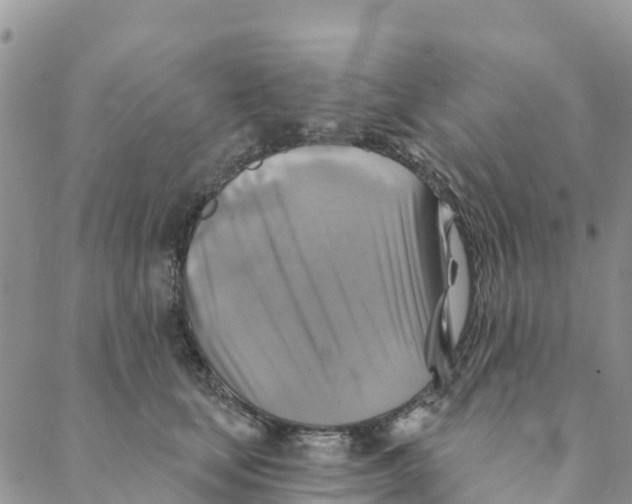 X0000088390659200706121211