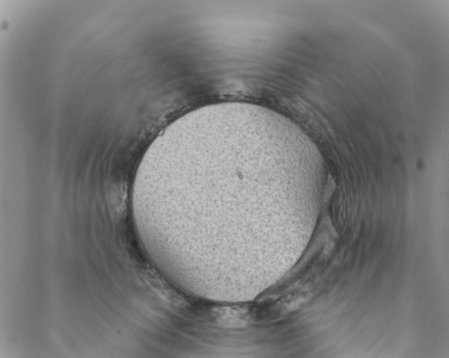 X0000088390660200706121211