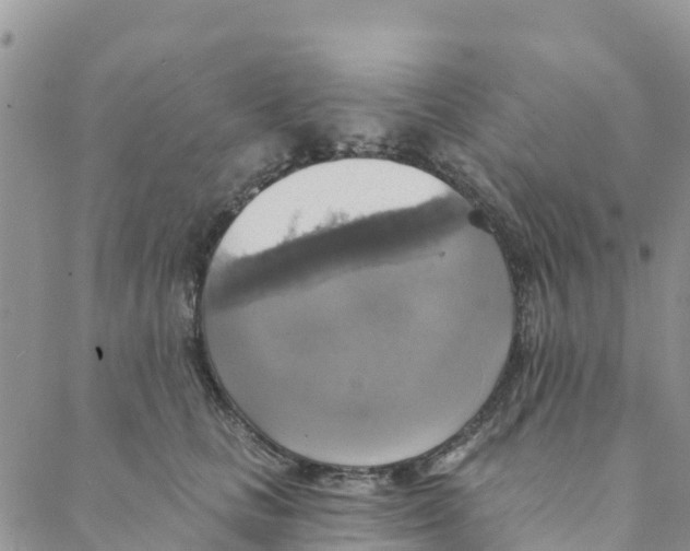 X0000088390661200706121211