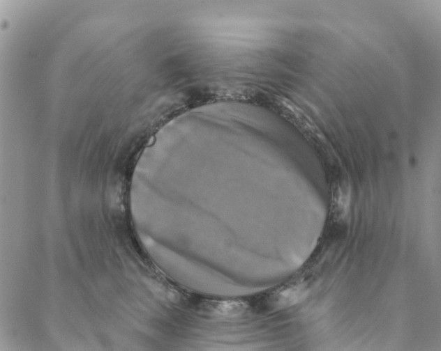 X0000088390663200706121211