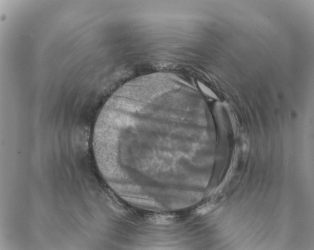 X0000088390664200706121211