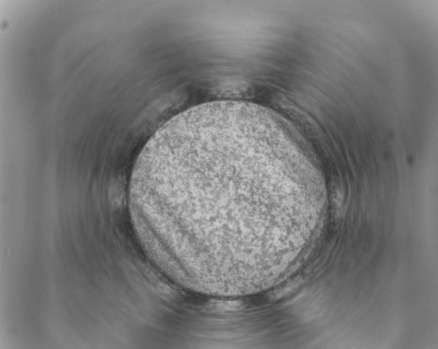 X0000088390665200706121211