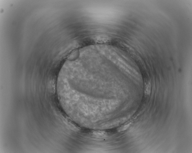 X0000088390666200706121211