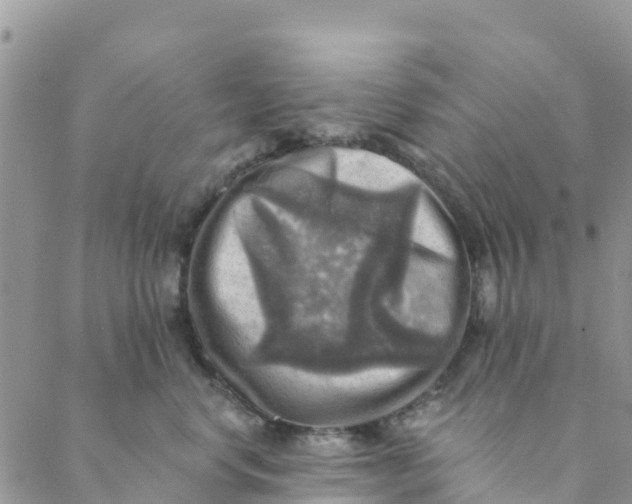 X0000088390668200706121211