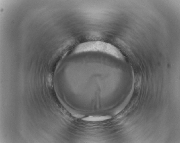 X0000088390669200706121211