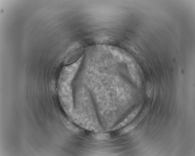 X0000088390670200706121211