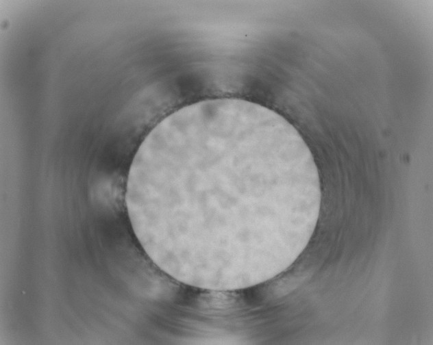 X0000088390672200706121211