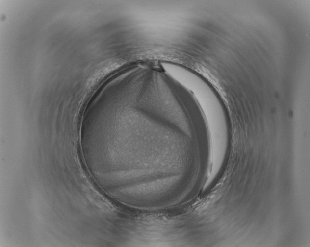 X0000088390673200706121211