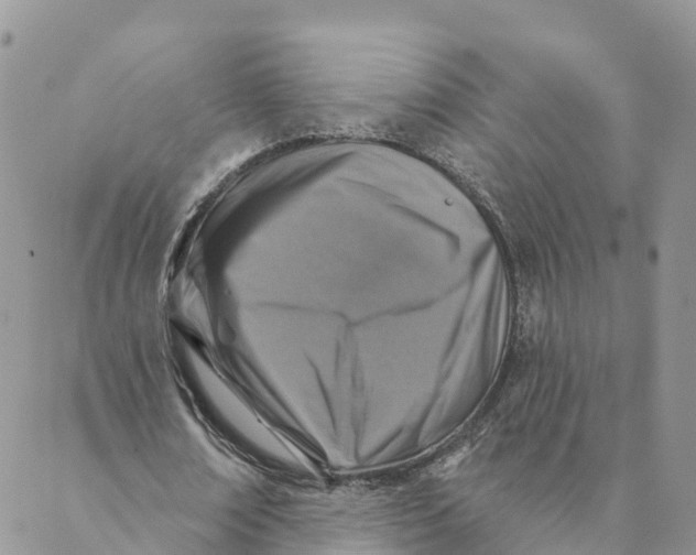 X0000088390674200706121211