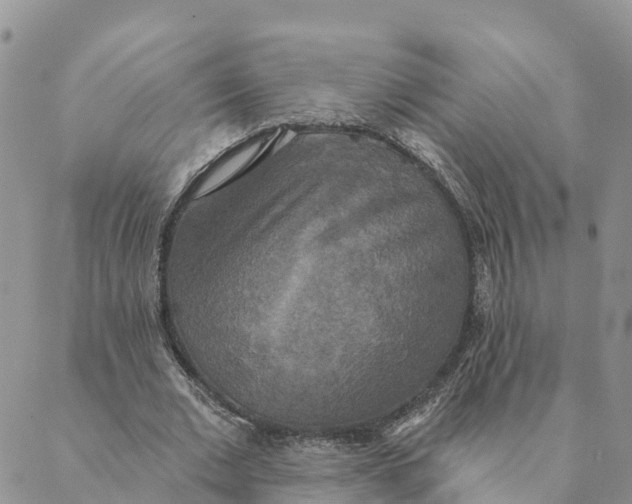 X0000088390677200706121210