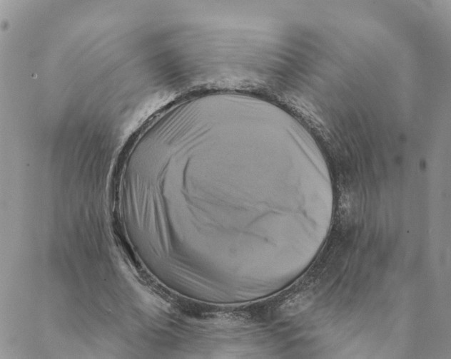 X0000088390678200706121210