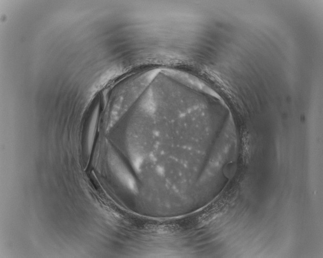 X0000088390679200706121210