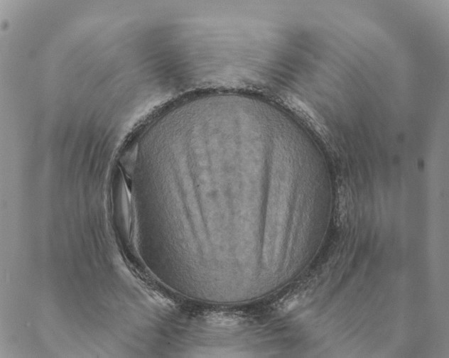 X0000088390680200706121210