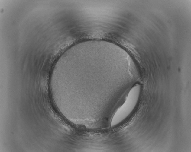 X0000088390681200706121210