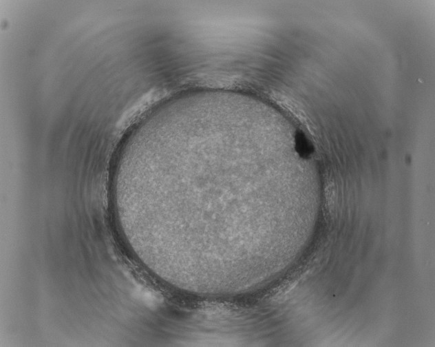 X0000088390682200706121210