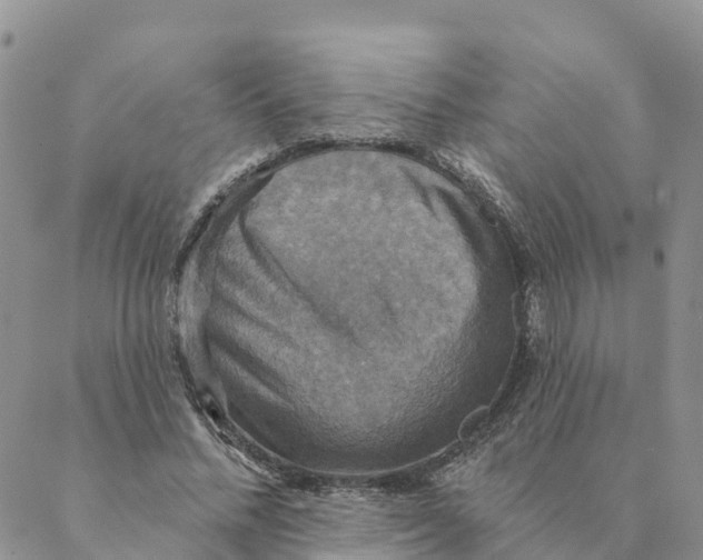 X0000088390684200706121210