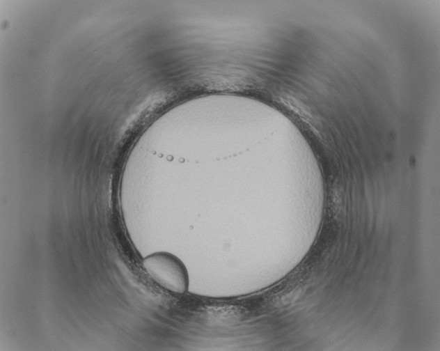 X0000088390686200706121210