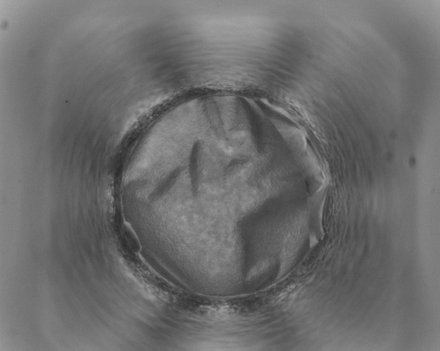 X0000088390688200706121210