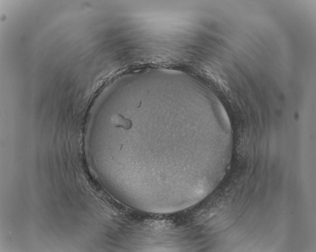 X0000088390689200706121210