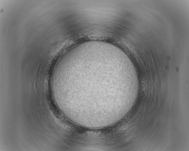 X0000088390690200706121210