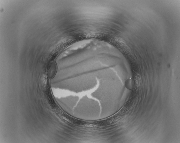 X0000088390691200706121210