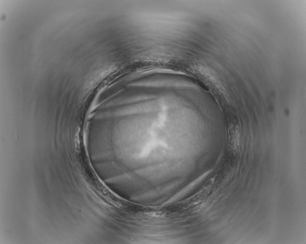 X0000088390692200706121210